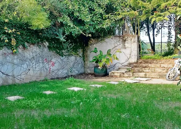 Casa Da Aldeia - Monte Redondo * Penacova